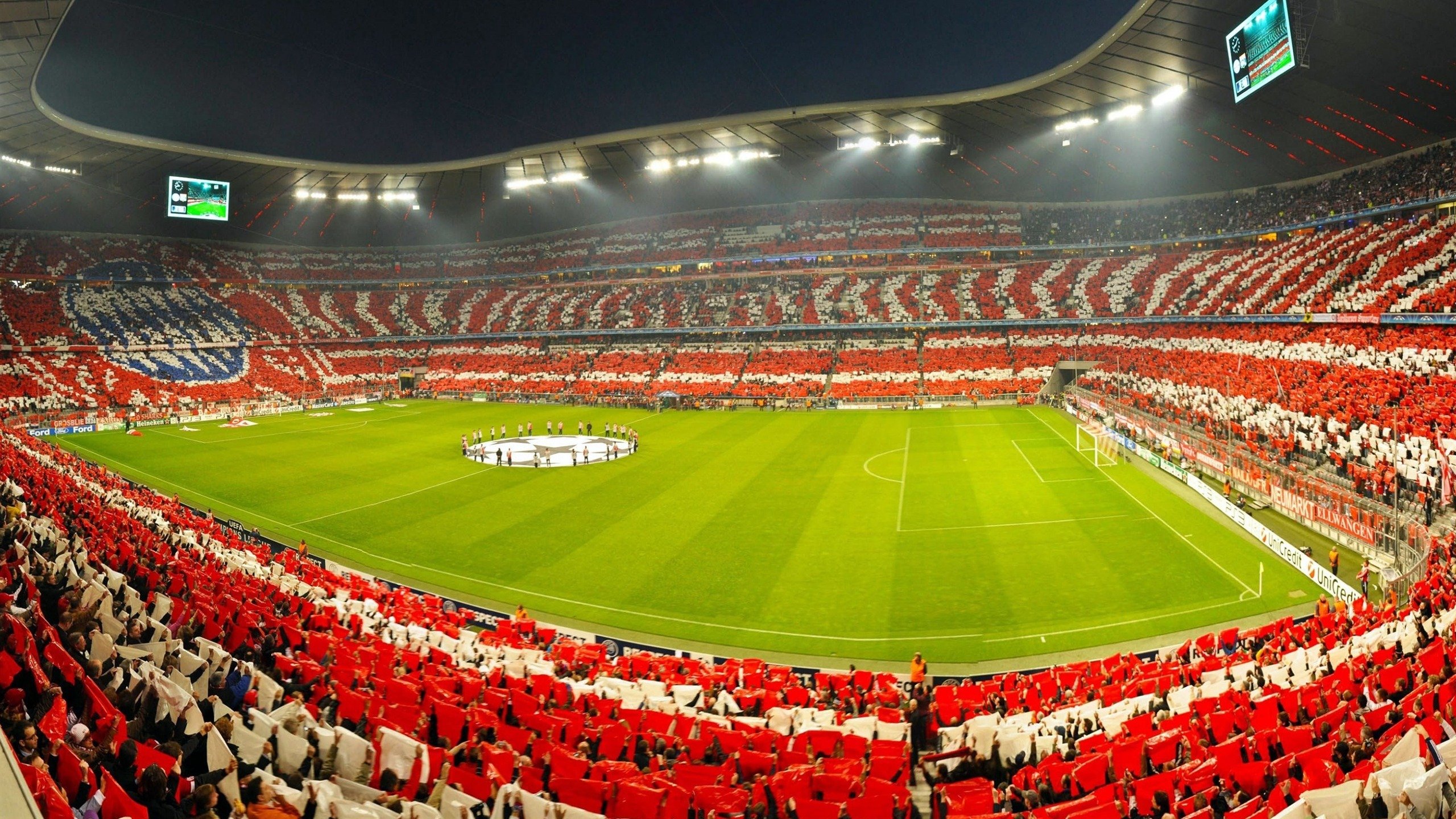 开云真人-“美洲狮队再度登顶，阿根廷橄榄球未来光明”